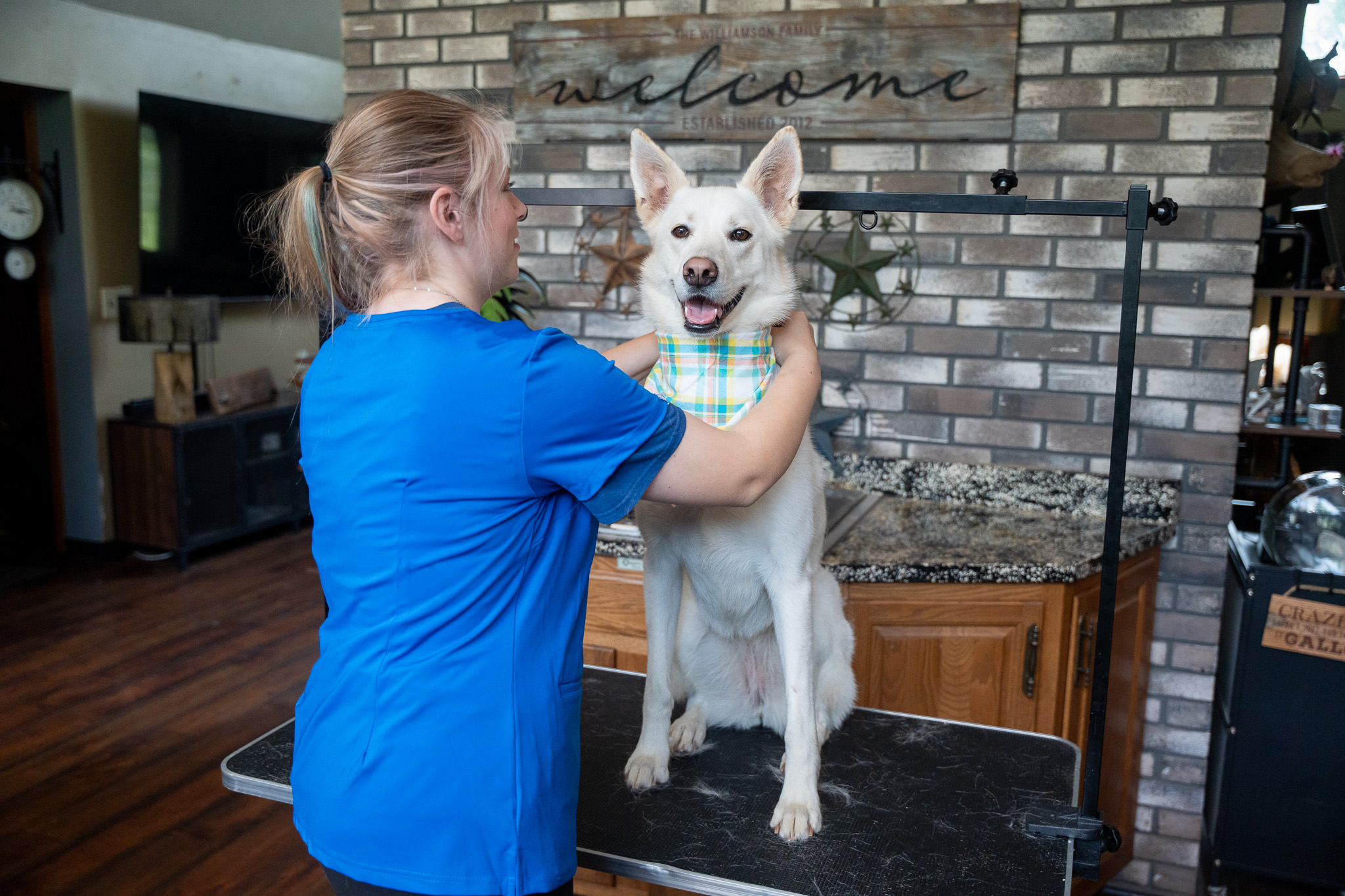 Professional dog groomer putting a bandana on a freshly groomed dog
