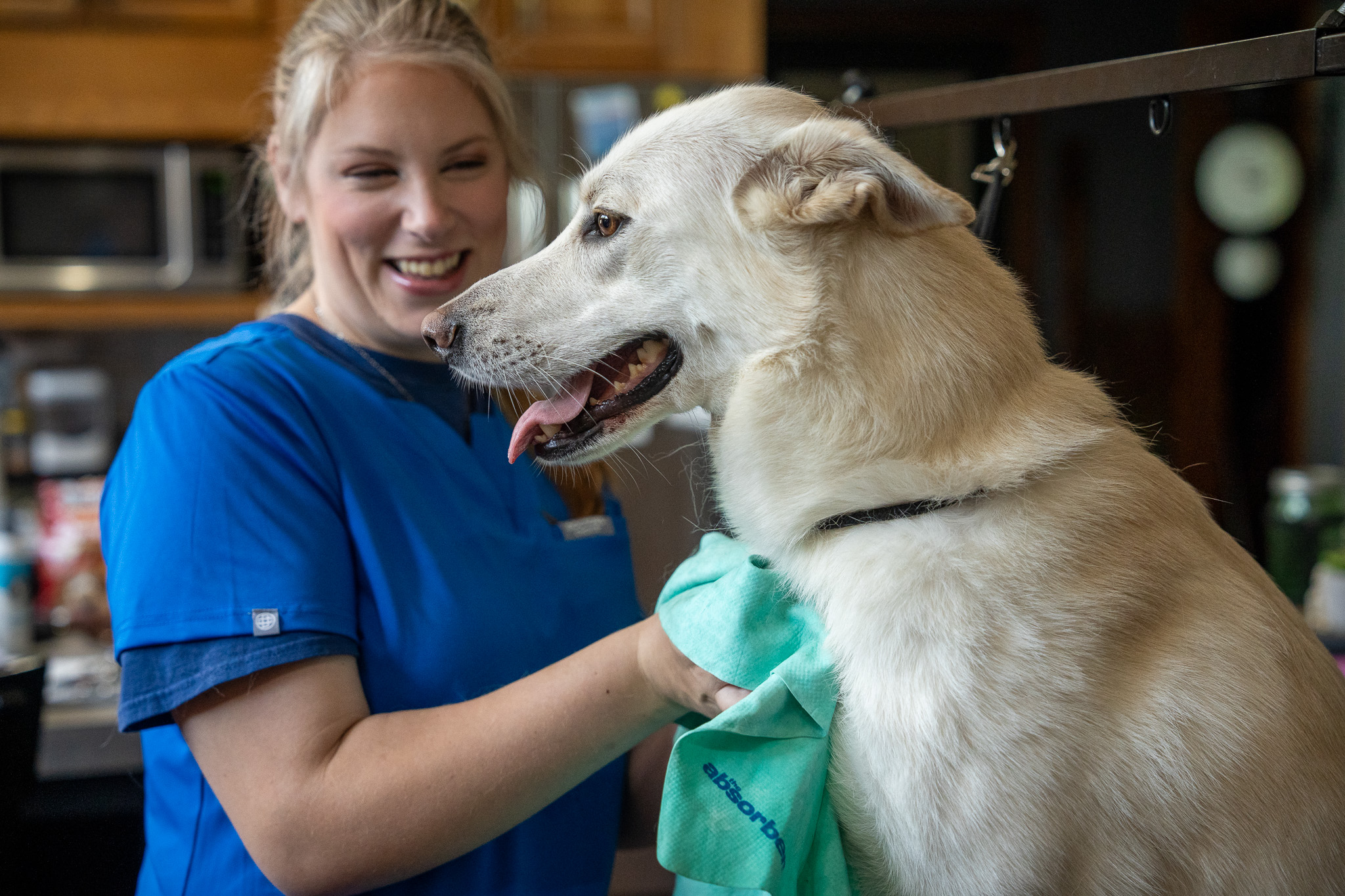 About Fuzz N Suds dog groomer Lily Jesswein drying a white husky's neck with a teal towel